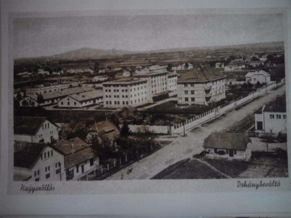 Фотографії (30×40) старого міста Виноградів (Севлюш)