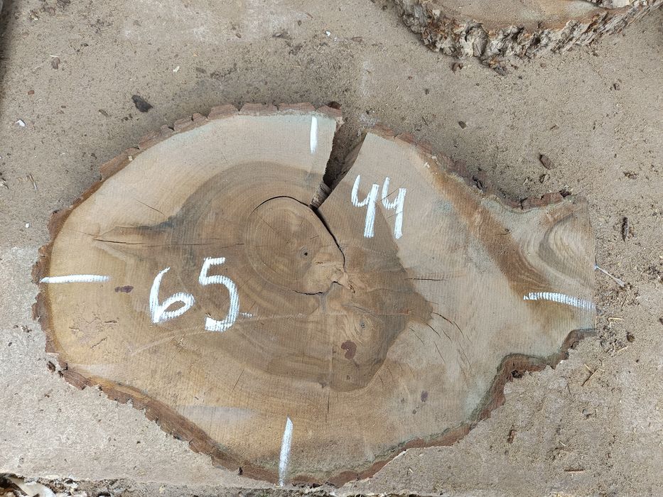 Plastry jesionowe i z orzecha włoskiego, suche  na stoliki itp.