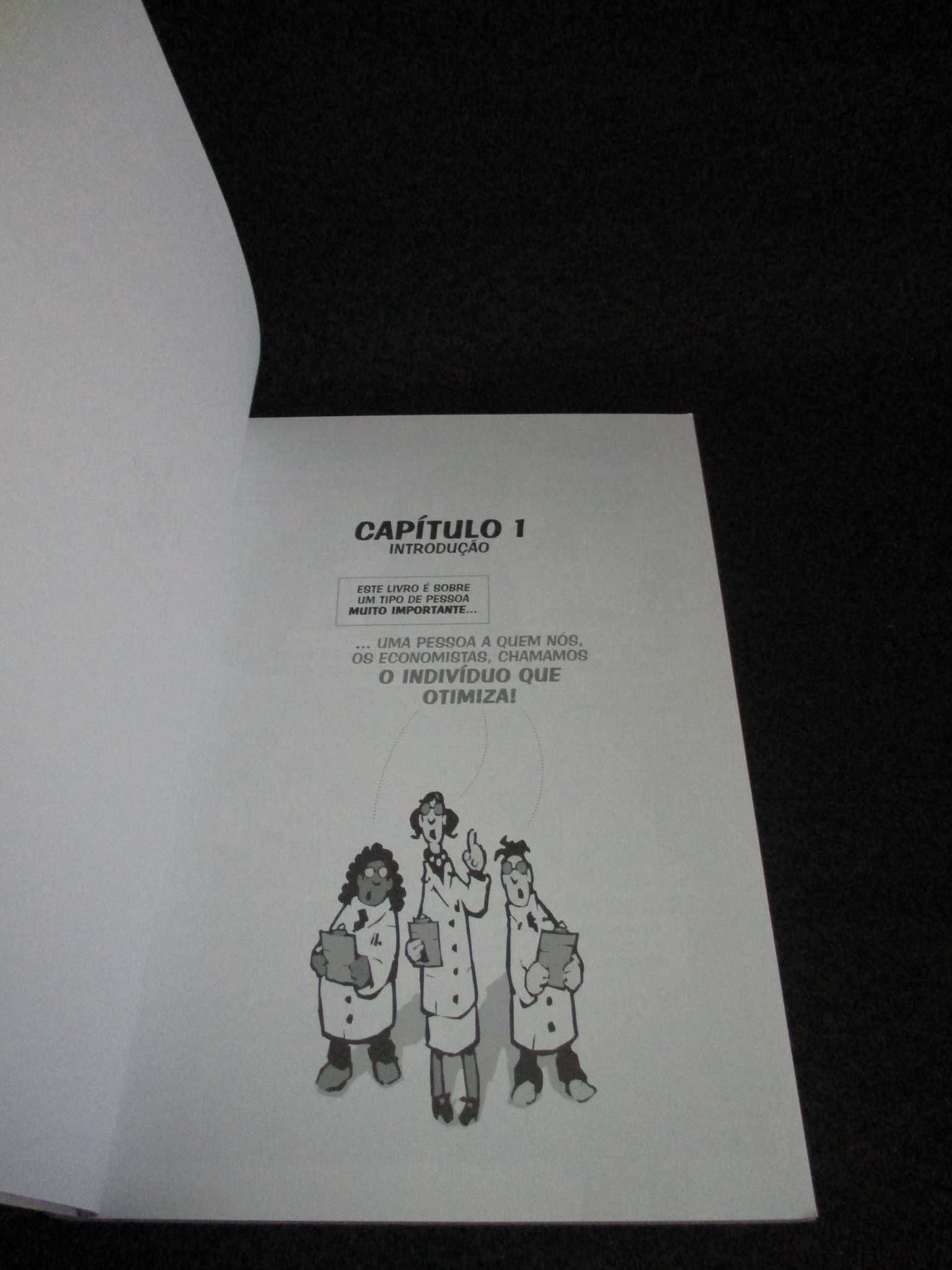 Livro BD Introdução à Economia em Banda Desenhada Microeconomia