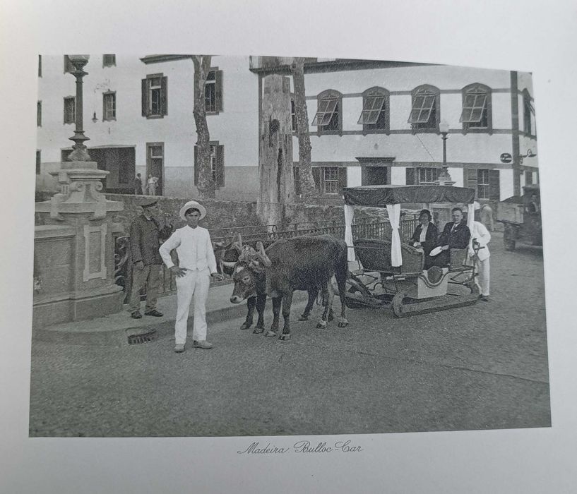 Livro / Album antigo sobre Ilha da MADEIRA