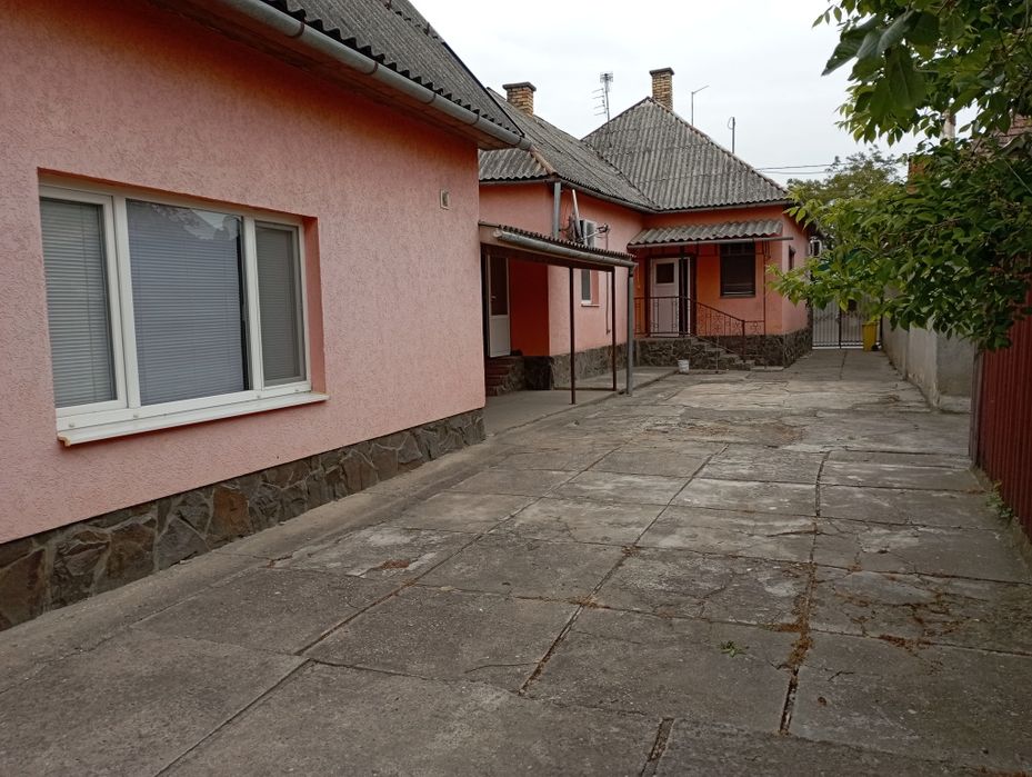 Будинковолодіння: комерція + житло 210 м2 Берегово Бако Габора 109