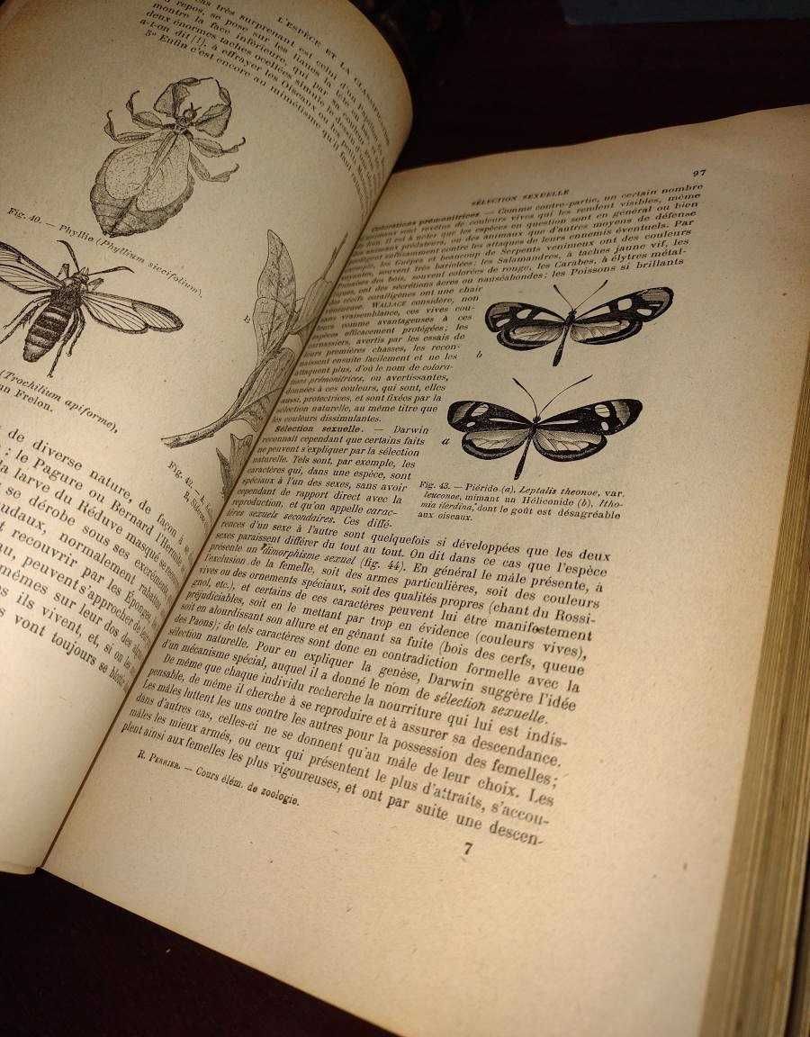 Zoologie - Rémy Perrier 1925