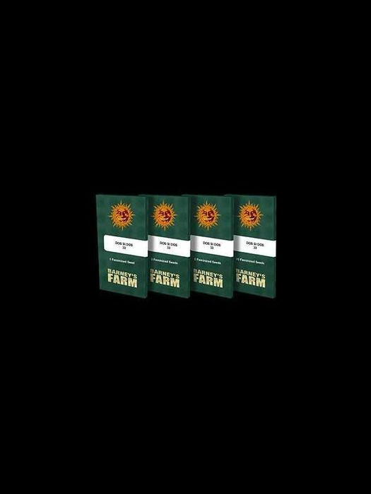 TANIEJ Nasiona cannabis fem sezon Dos Si Dos 33 / Barney’s Farm 3 szt.