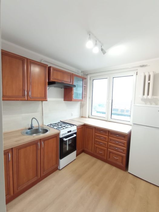 Mieszkanie do wynajecia