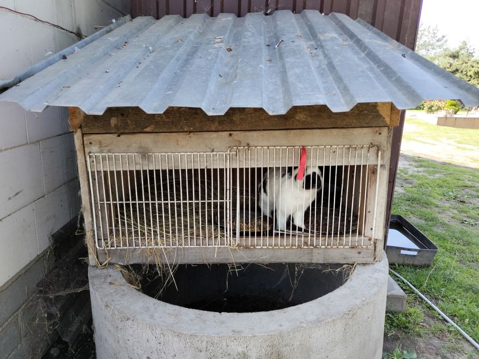 Sprzedam klatkę dla królika