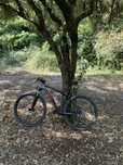 Bicicleta coluer em carbono roda 29