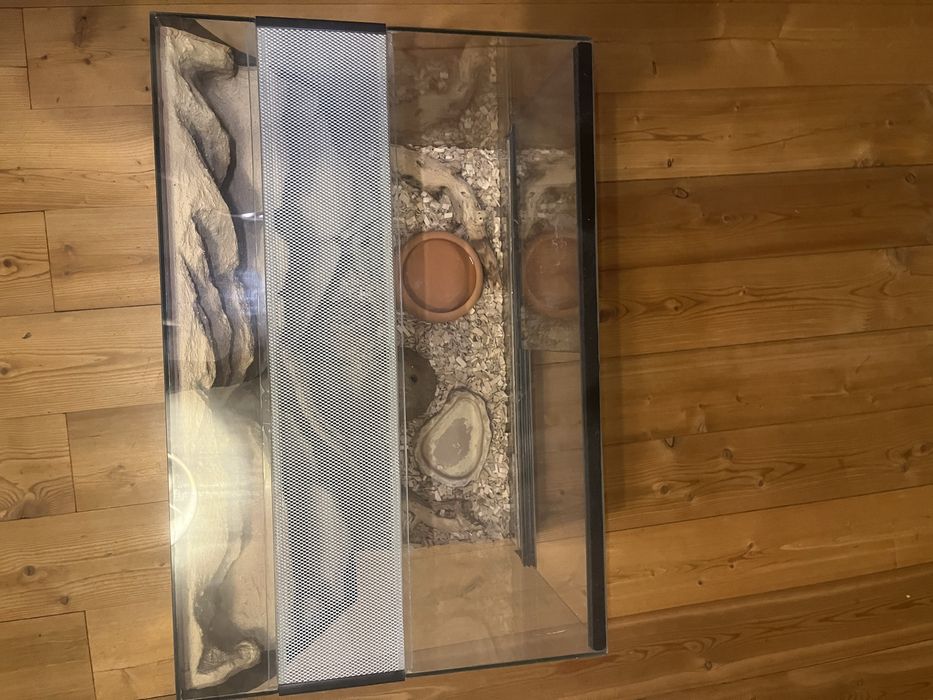 Terarium dla gekona i nie tylko. Pełne wyposażenie