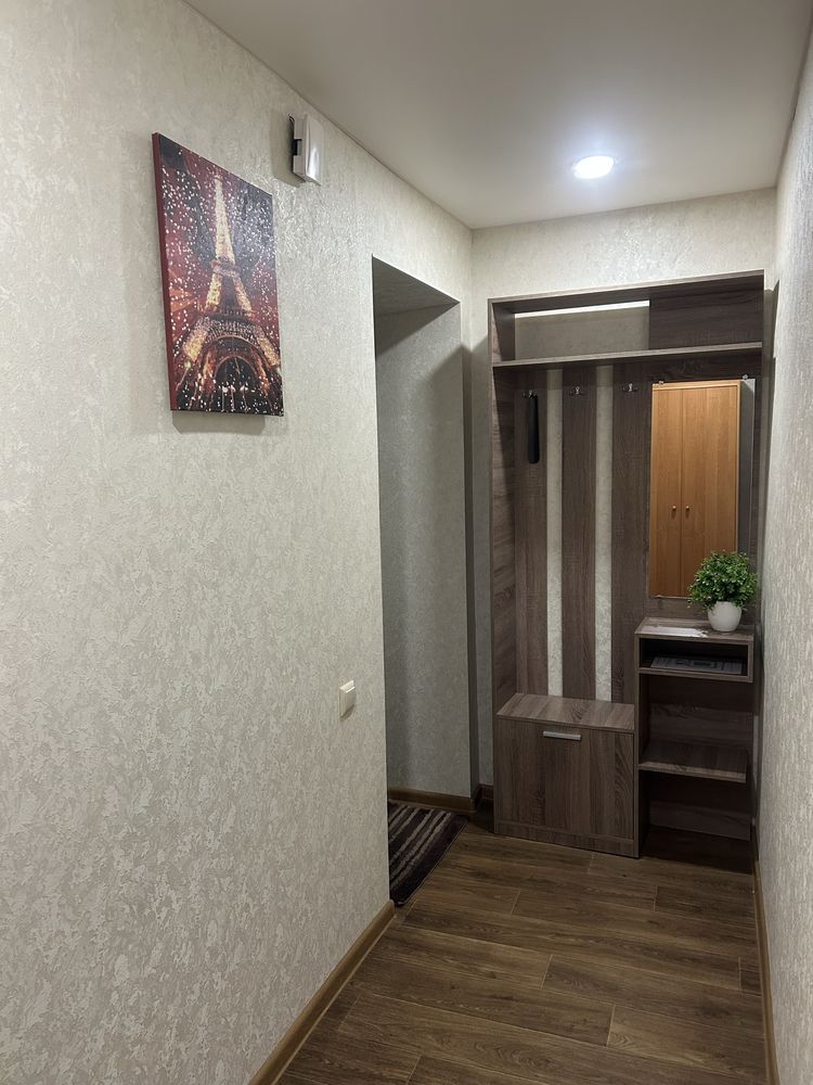 1 кімнатна квартира подобово, погодинно в ЦЕНТРІ. Можливо  на місяць!