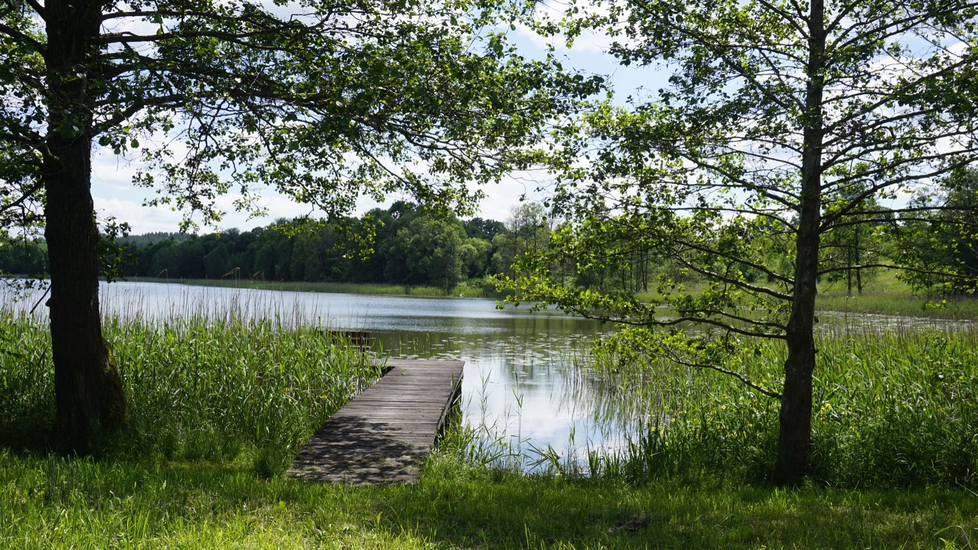 Domki Warmiński Zakątek nad jeziorem Blanki do 8 osób, Warmia i Mazury