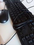 Teclado e rato como novos