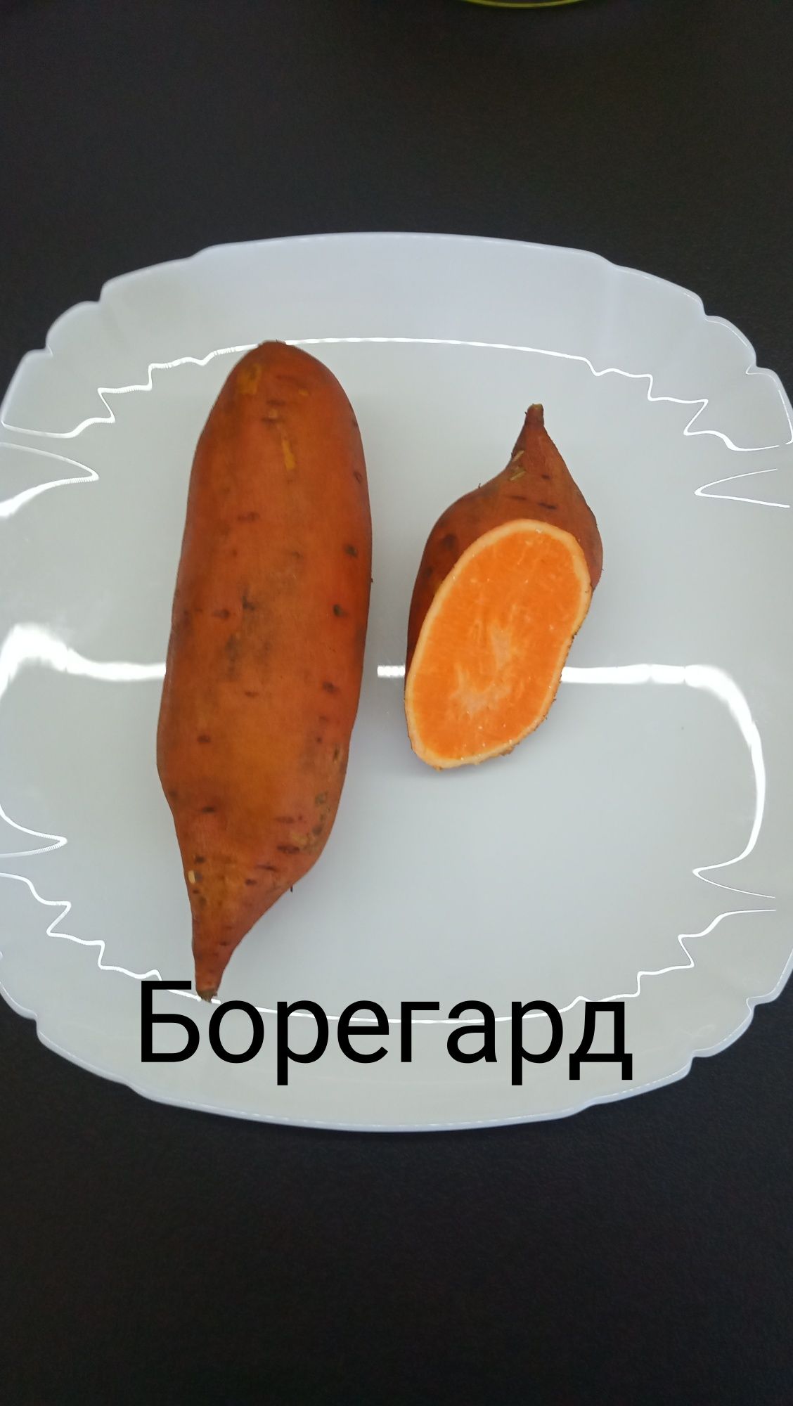 Батат. Розродаж!. Врожай 2024 для їжі і на розсаду опт і роздріб