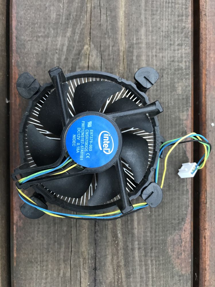 Procesor Intel Celeron G3900, 2x3,5 GHz Wwa Ursus