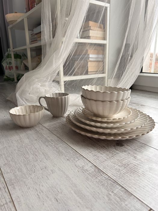 Zastawa piękna muszelka