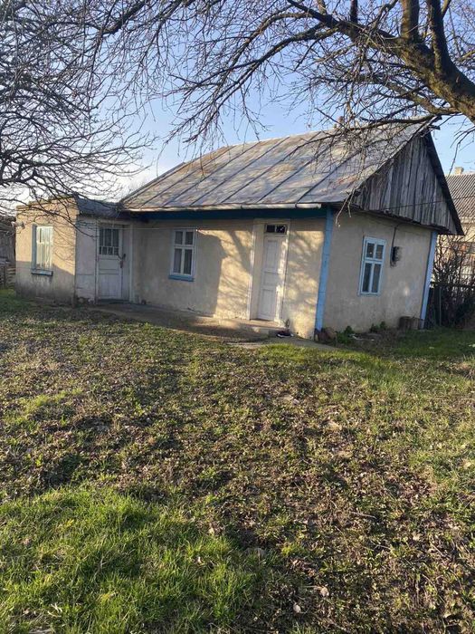 Чернівці , Рогізна , вул. Каштанова земля фасад.