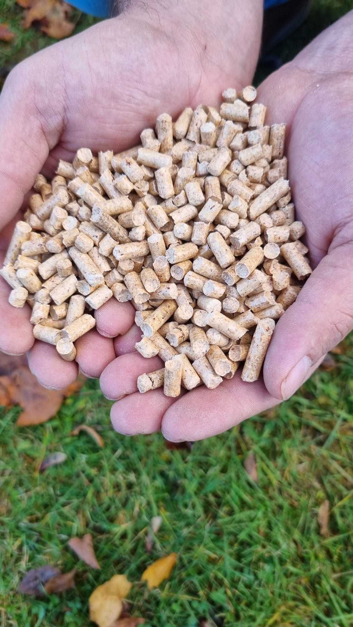 Promocja! Pellet Czarnolas producent pelletu