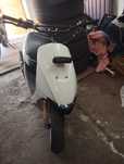 Suzuki zz inch up sport