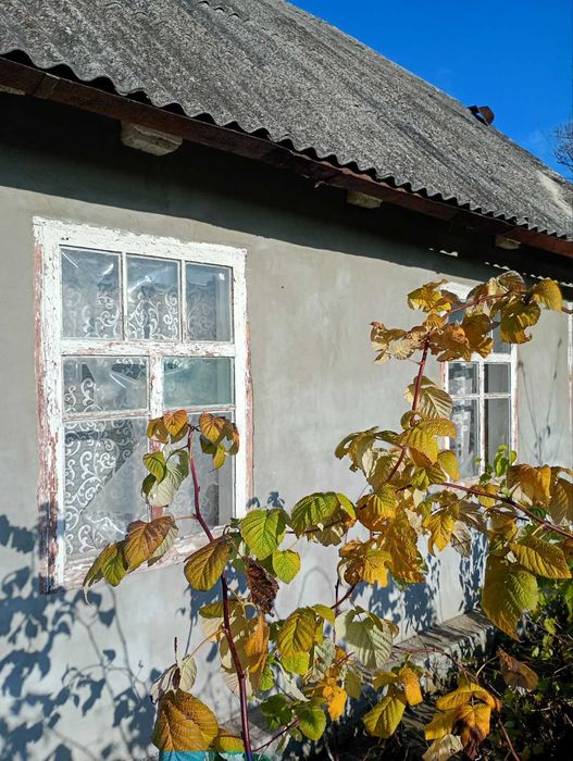 Продам будинок в селі Саливонки Білоцерківський район Київська область