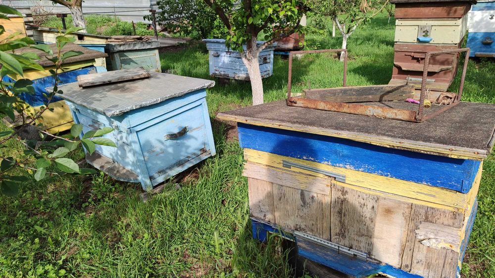 Вулики різні б/у