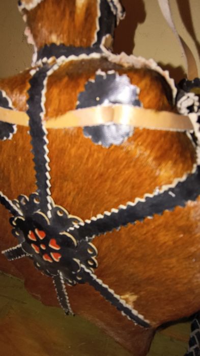 Stary bukłak okazja