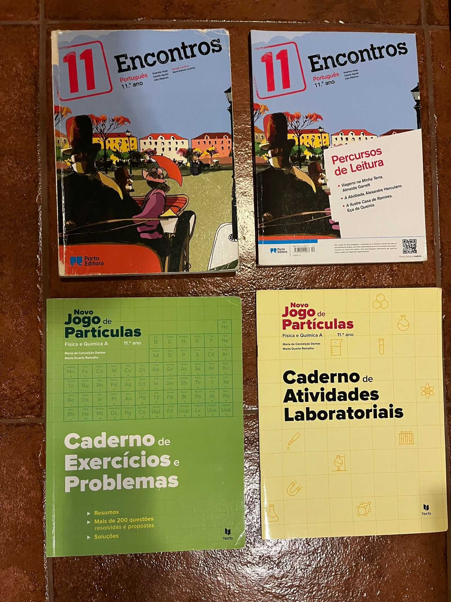 Manual/Cadernos de atividades português e físico quimica 11 ano