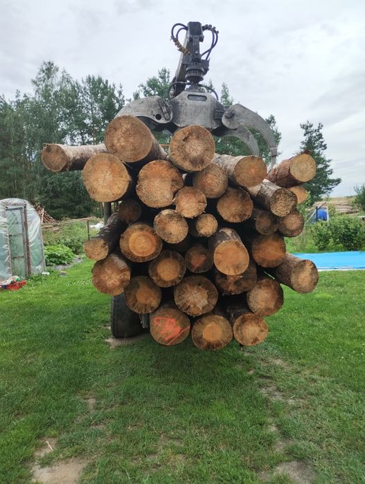 Suche Drewno opałowe sosna. buk.brzoza olcha