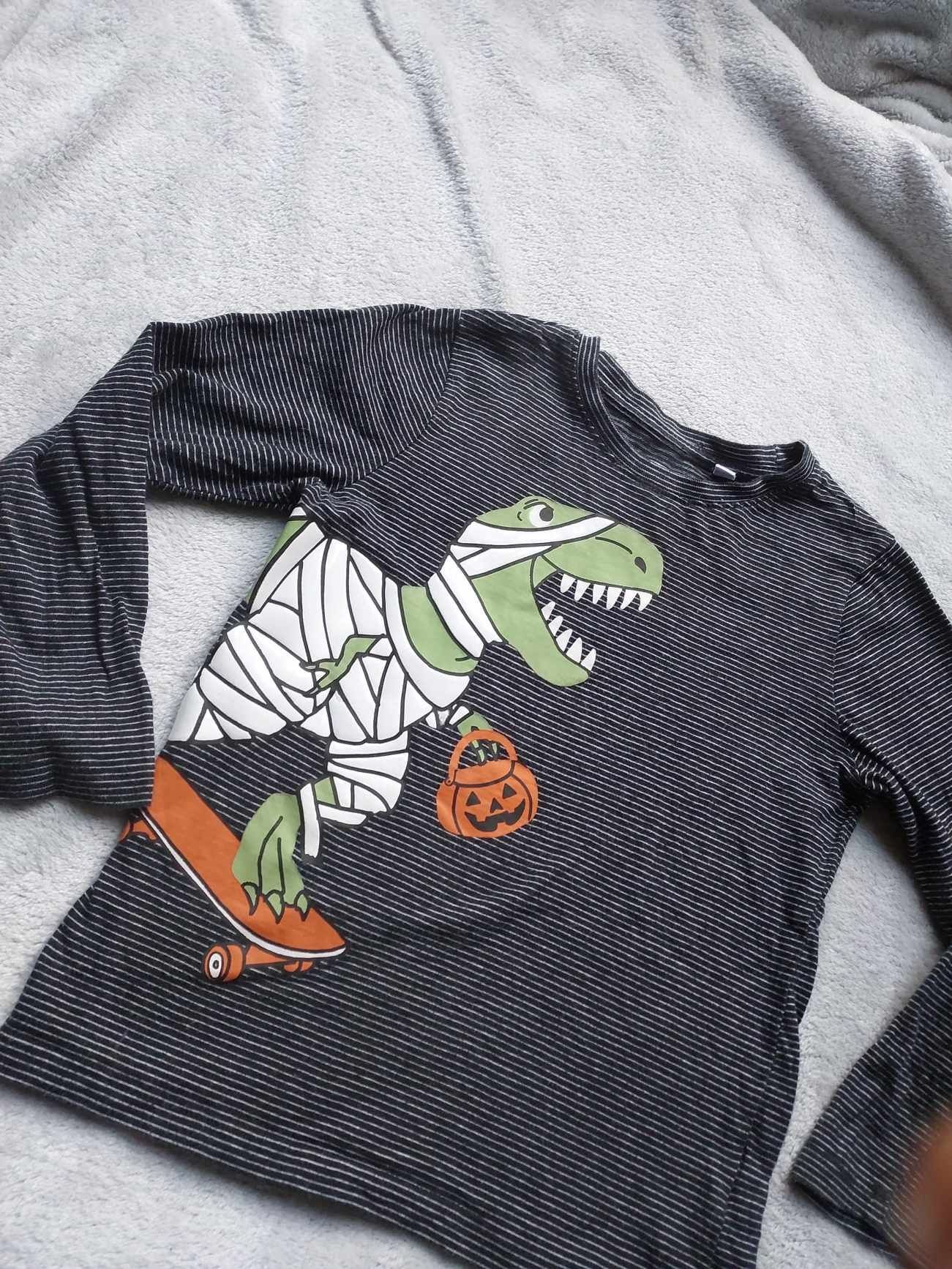 Bluzka koszulka dinozaur 104