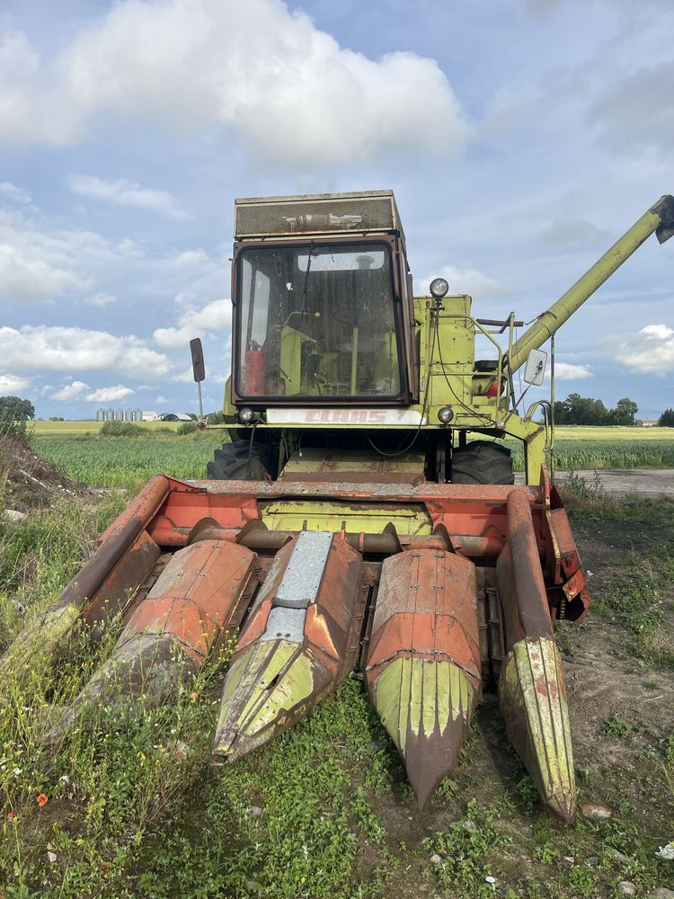Kombajn zbożowy Class Dominator 80 z przystawką do kukurydzy
