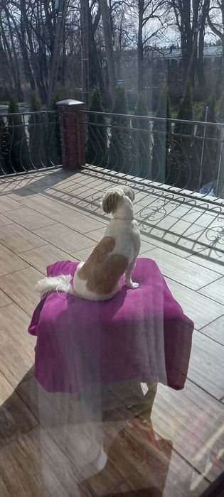 Balustrada na taras 2 częściowa