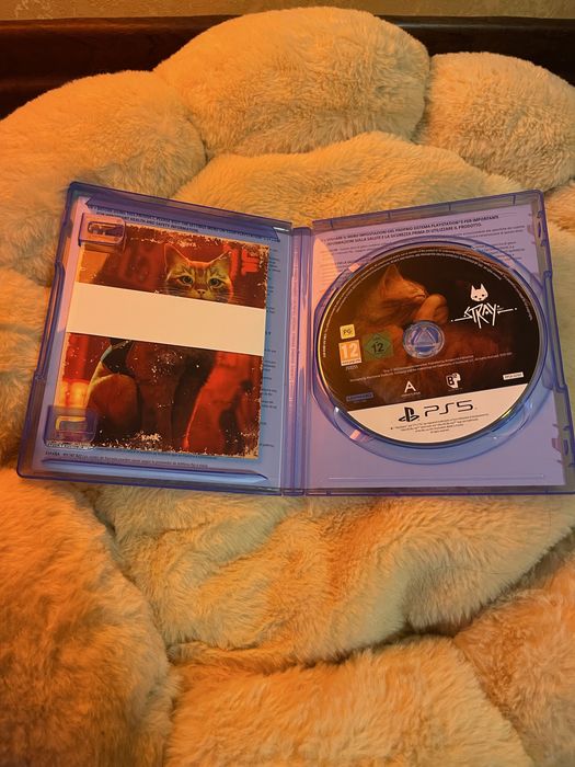 Stray ps5 игра.