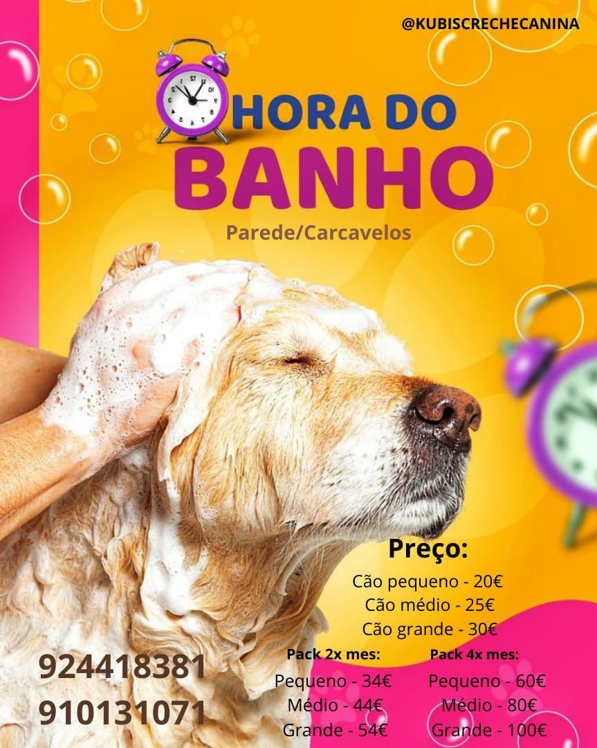 Banhos para cães Carcavelos/Parede