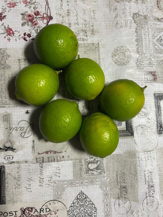 Lima caseira sem agrotóxicos