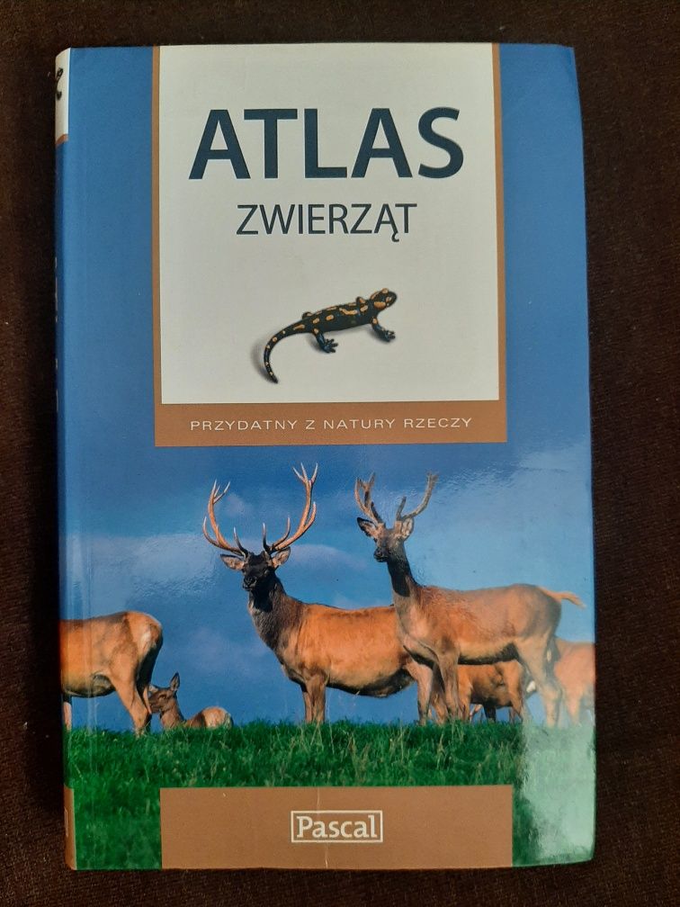 Atlas zwierząt Pascal