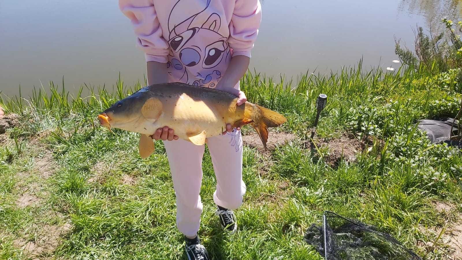 Domek, cichy zakątek nad stawem