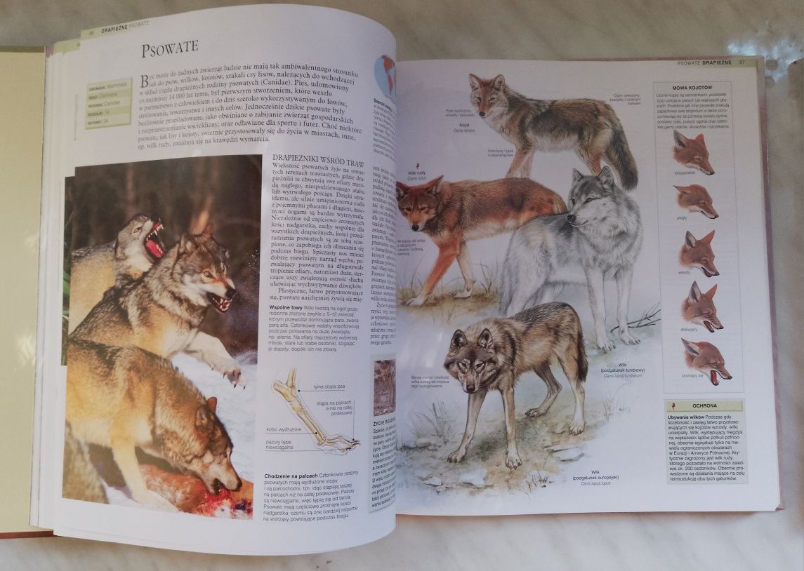 Encyklopedia Zwierząt 4 tomy
