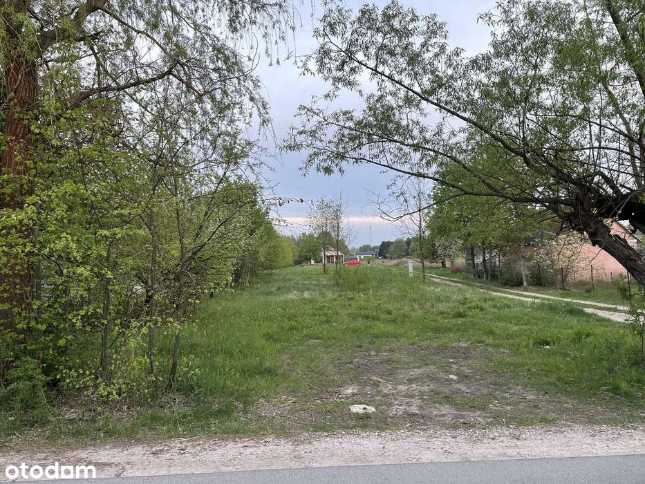 Działka Budowlana | Media | Mpzp | A2 | Mrowiska | Halinów | Krzewina