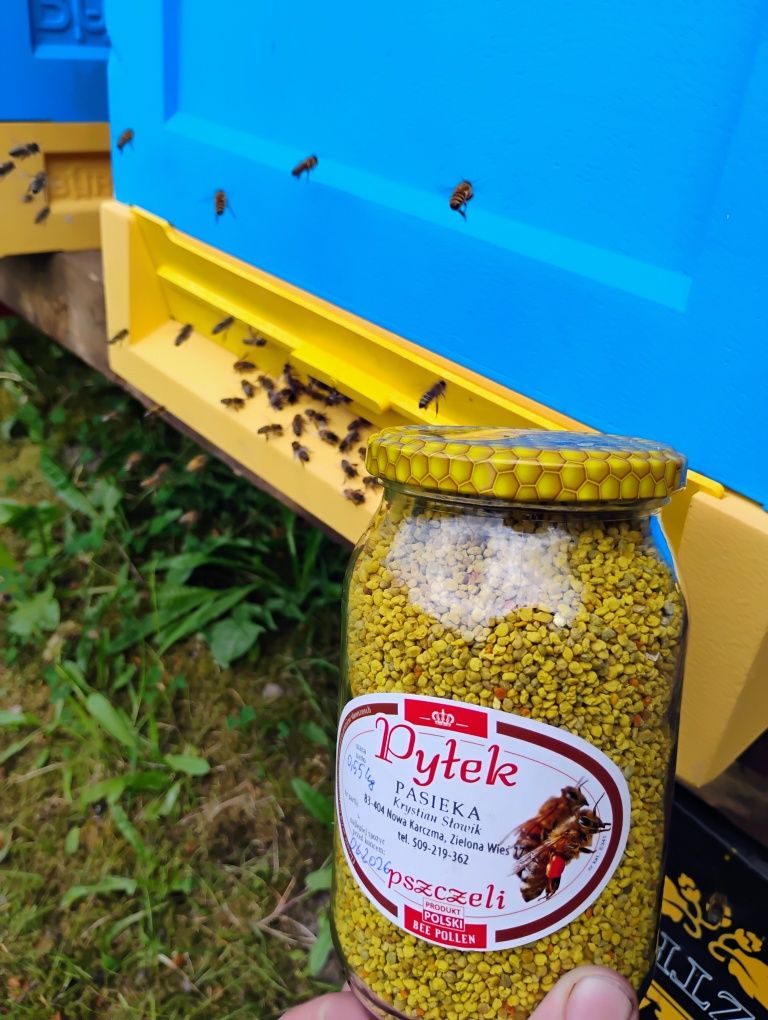 Pyłek pszczeli 2 słoiki własny