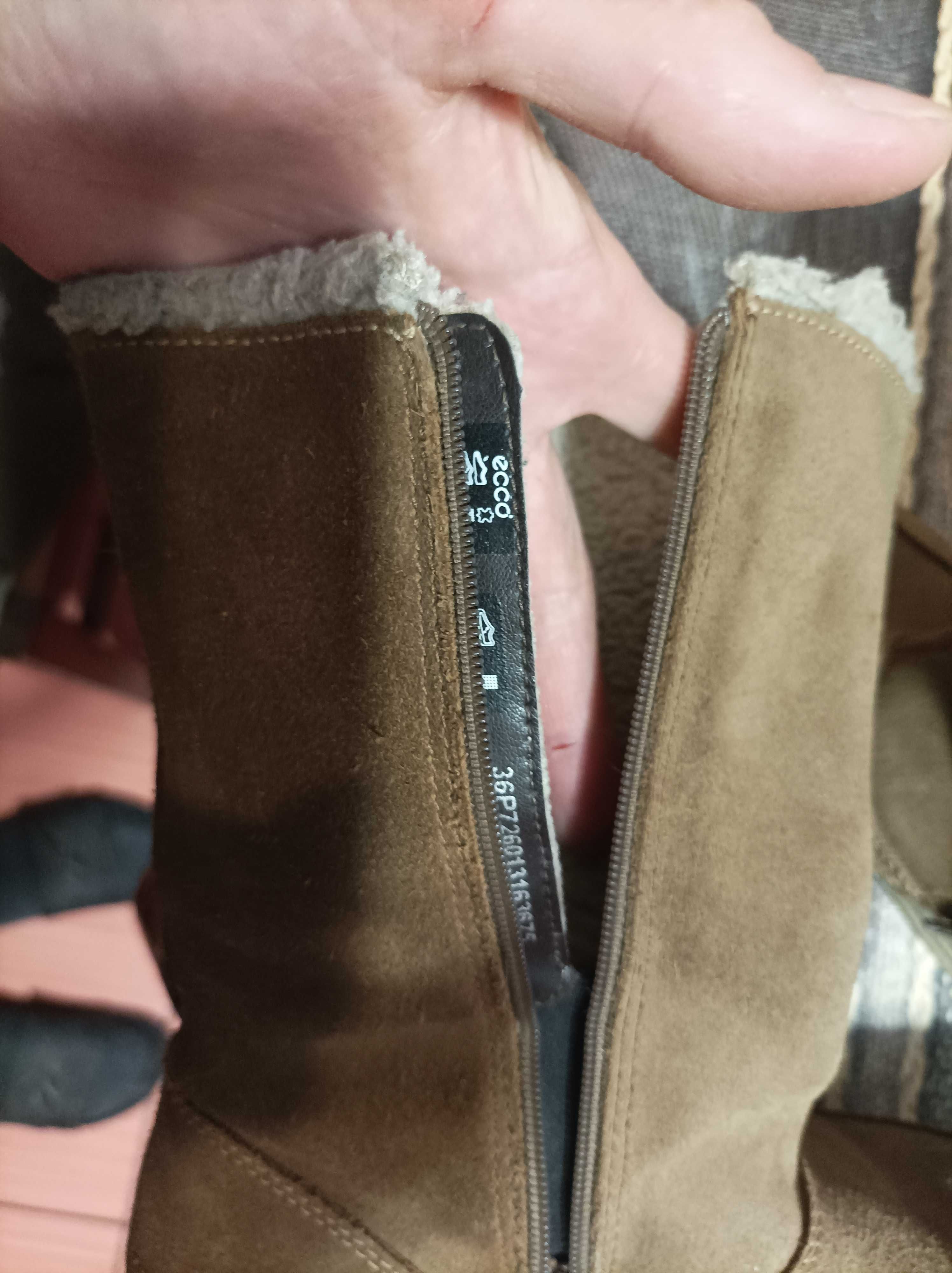 Продам сапоги  ЕССО gore tex для девочки размер 36 (длина стопы 23,5)