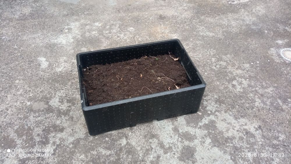 Skrzynki na ziemię, warzywa, przetwory