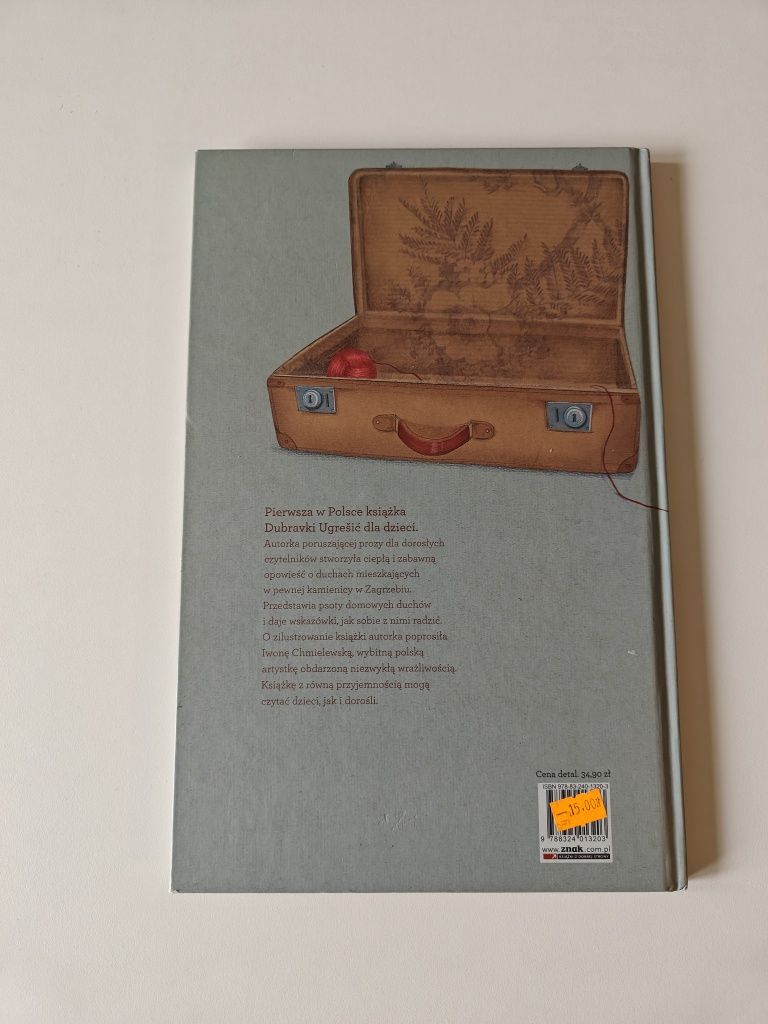 Książka dla dzieci Domowe duchy