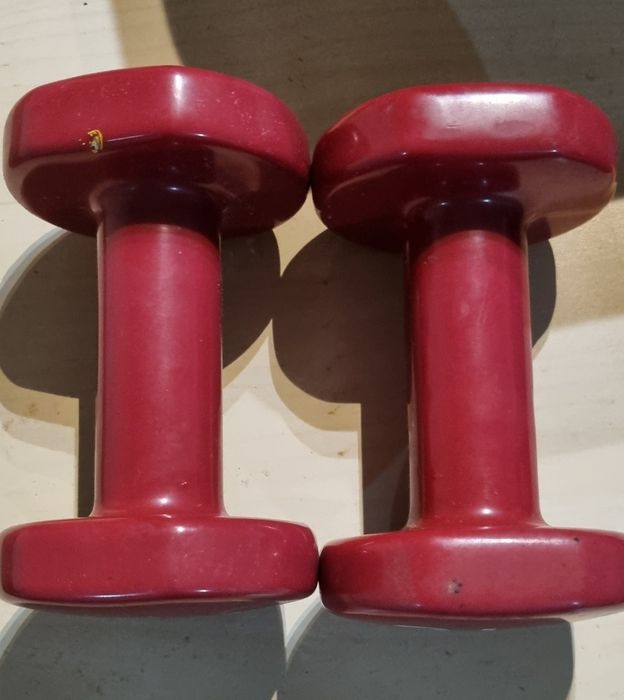 Pesos de 3 kg para musculação