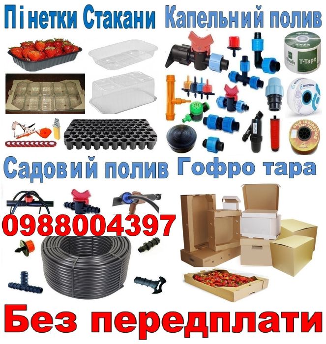 Упаковка на перепелиные куриные яйца яиц пинетки лоток ёмкость порошок