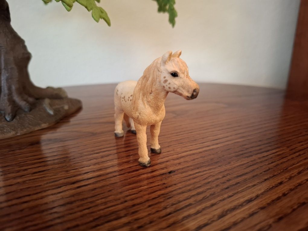 Wałach kuca falabella schleich