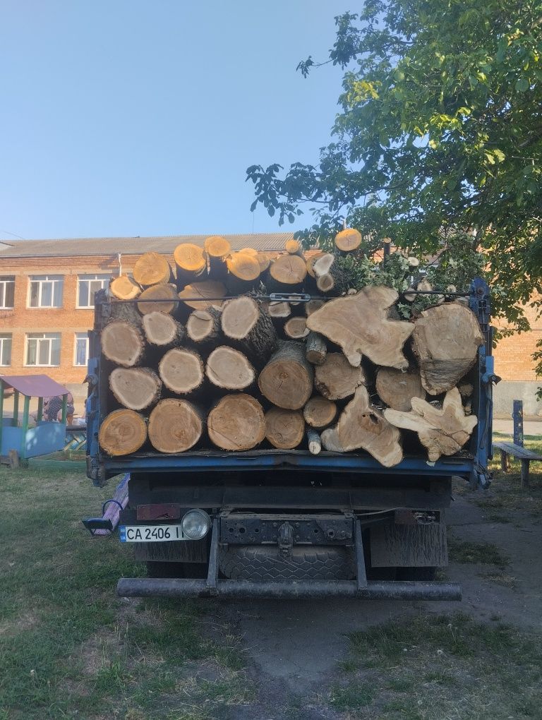 Продам дрова твердых/мешаных пород опт и розница