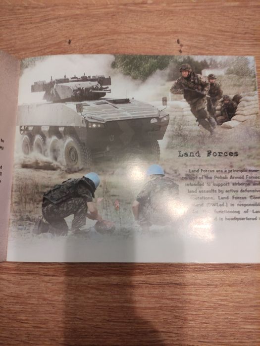 The Polish armed forces