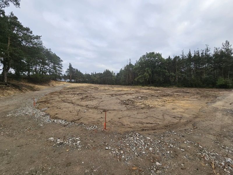 Piękne dzialki  Mielec otoczone lasem