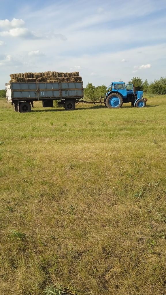 Продам трактор  МТЗ-80 доброму стані .