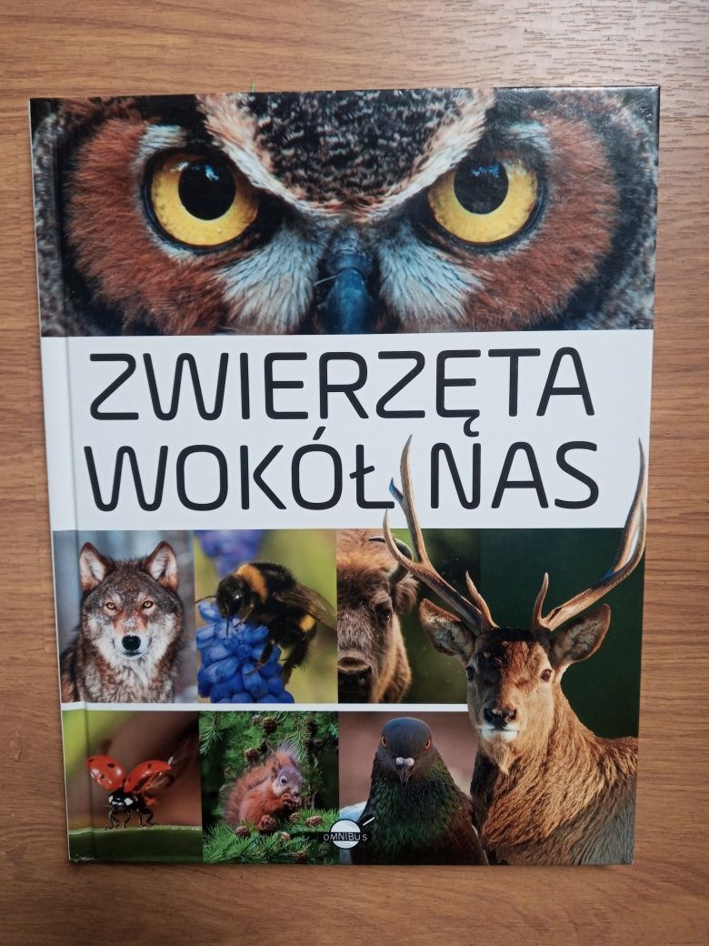 Encyklopedia Zwierzęta wokół nas autor Anna Skrok Nowa