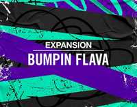 Bumpin Flava - Native Instruments Komplete Maschine Expansion