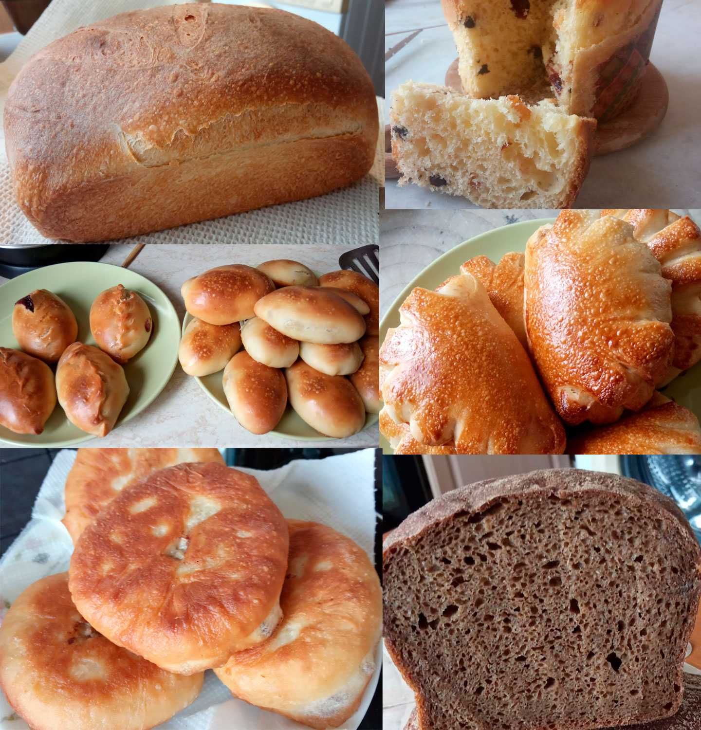 Закваска для хлеба/сдобы: пшеничная, ржаная, Левито Мадре: сухая/живая