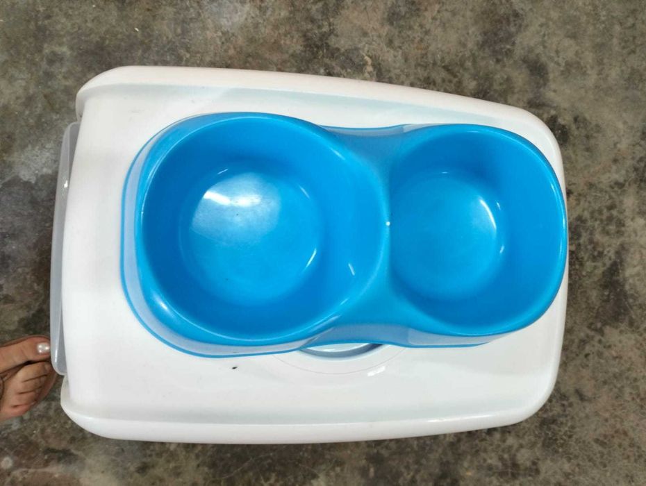 Utensílios para gato